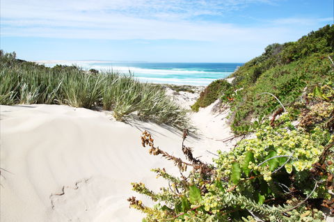 Coffin Bay National Park - Tourism Caloundra 1