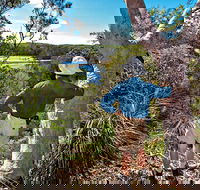 Corkwood and Scribbly Gum Walking Track - Tourism Caloundra