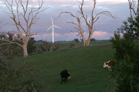 Crookwell Wind Farm - Tourism Caloundra 1