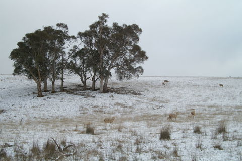 Crookwell Wind Farm - Tourism Caloundra 2