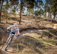 Cycle Mogo State Forest - Tourism Caloundra