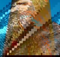 Deniliquin Water Tower Mural - Tourism Caloundra