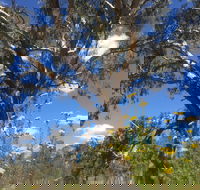 Euroa Arboretum - Tourism Caloundra