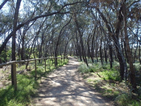 Federation Walk - Tourism Caloundra 0