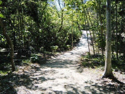 Federation Walk - Tourism Caloundra 2