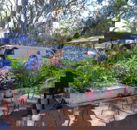 Fernvale Country Markets - Tourism Caloundra