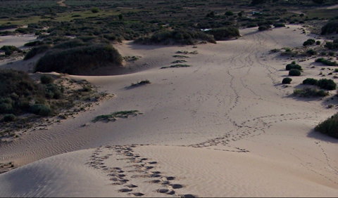 Foreshore Walk, Mungo National Park - Tourism Caloundra 0