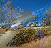 Freshwater Creek Track Byfield National Park - Tourism Caloundra