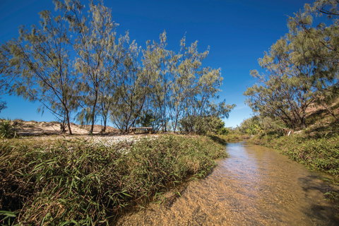 Freshwater Creek Track, Byfield National Park - Tourism Caloundra 0