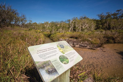 Freshwater Creek Track, Byfield National Park - Tourism Caloundra 1