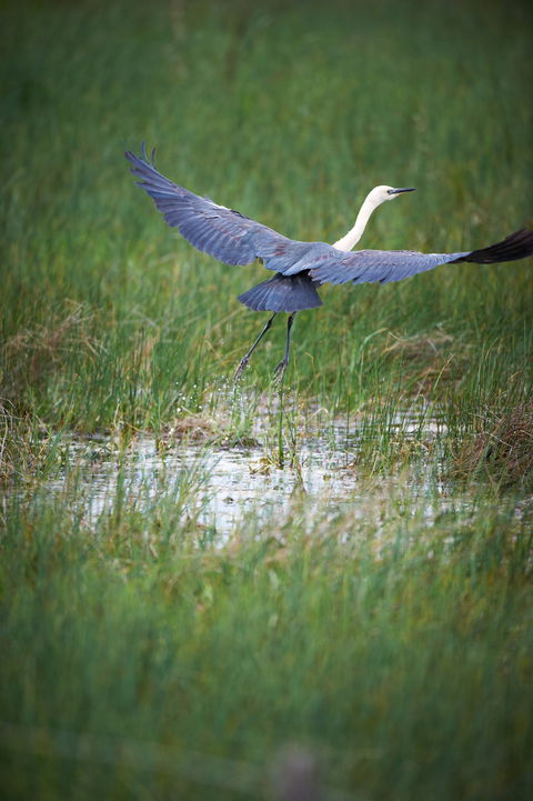 Germein Reserve - Tourism Caloundra 0