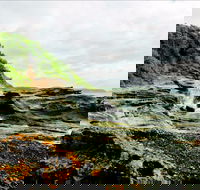 Glenrock State Conservation Area - Tourism Caloundra