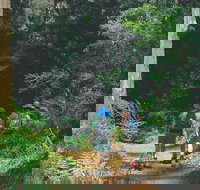 Gloucester National Park - Tourism Caloundra