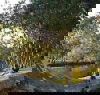 Goomburra - Tourism Caloundra