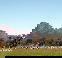 Grampians - Tourism Caloundra