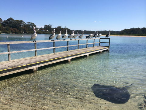 Kayaking Tomaga River - Tourism Caloundra 2