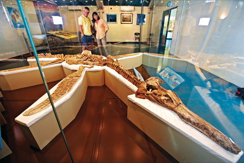 Kronosaurus Korner - Tourism Caloundra 1