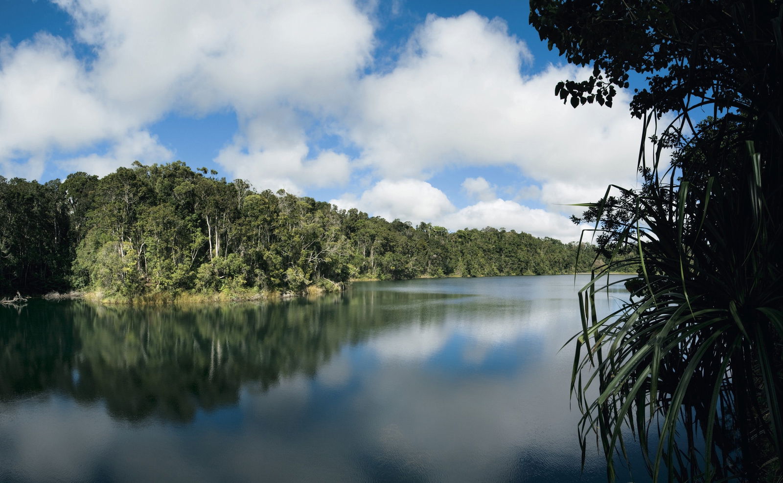 Lake Eacham QLD Tourism Caloundra