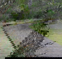 Leschenault Peninsula Conservation Park - Tourism Caloundra