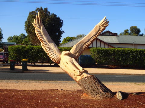 Loxton Tree Sculptures - Tourism Caloundra 0