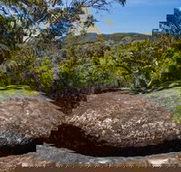 Marramarra Ridge to Smugglers Ridge walking track - Tourism Caloundra