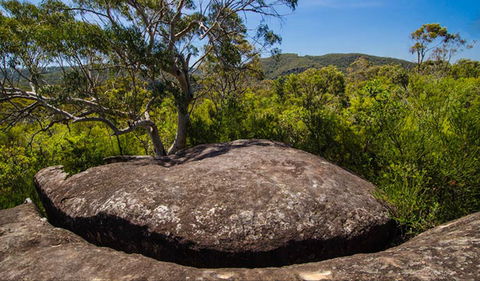 Marramarra Ridge To Smugglers Ridge Walking Track - Tourism Caloundra 0