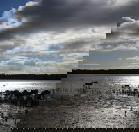 Marine Parade Hastings Foreshore Reserve Circuit - Cycling - Tourism Caloundra