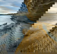 Maria Island - Tourism Caloundra