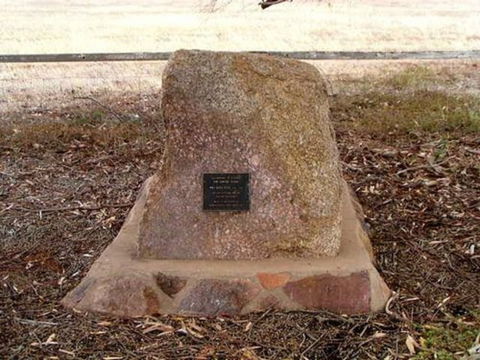 May Gibbs Tree - Tourism Caloundra 0