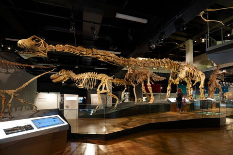 Melbourne Museum - Tourism Caloundra 1