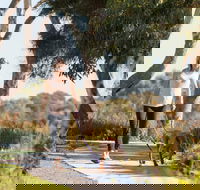 Meningie Walking and Cycling Trails - Tourism Caloundra