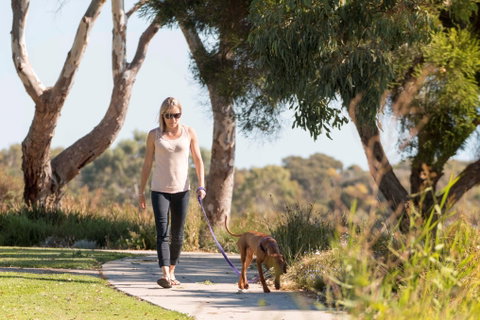 Meningie Walking And Cycling Trails - Tourism Caloundra 0