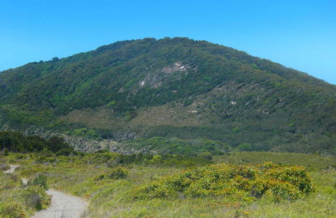 Monument Hill Walking Track - Tourism Caloundra 0