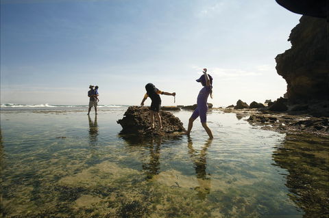 Mornington Peninsula National Park - Tourism Caloundra 2