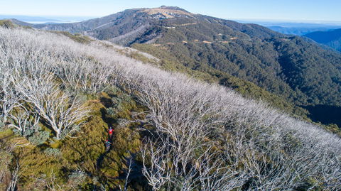 Mt Buller Bike Park - Tourism Caloundra 0
