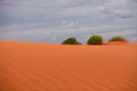 Munga-Thirri - Simpson Desert Conservation Park And Regional Reserve - Tourism Caloundra 0