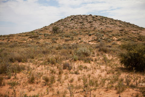 Munga-Thirri - Simpson Desert Conservation Park And Regional Reserve - Tourism Caloundra 2