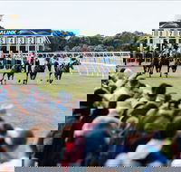 Oakbank - Tourism Caloundra