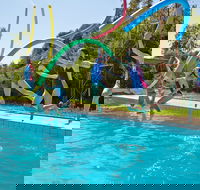 Oaklands War Memorial Swimming Pool - Tourism Caloundra
