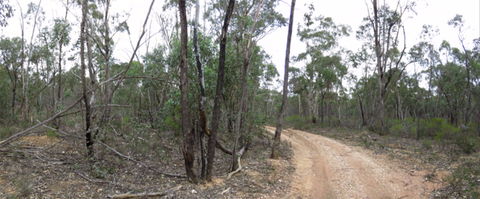 Paddys Ranges State Park - Tourism Caloundra 0