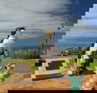 Penguin - Tourism Caloundra