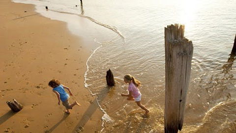 Phillip Island - Tourism Caloundra 0