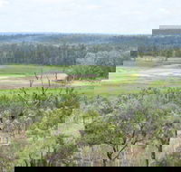 Princess Hills Girringun National Park - Tourism Caloundra