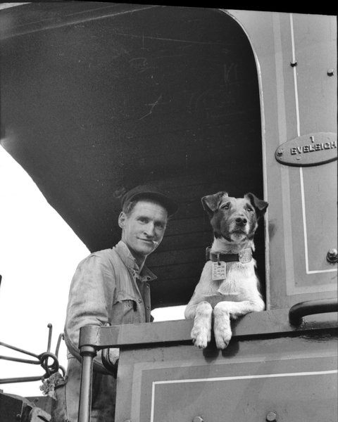 Railway Temora - Tourism Caloundra 0