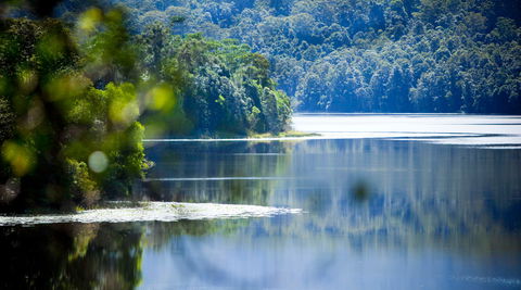 Rocky Creek Dam - Tourism Caloundra 0