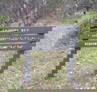 Salisbury Falls Walk - Tourism Caloundra