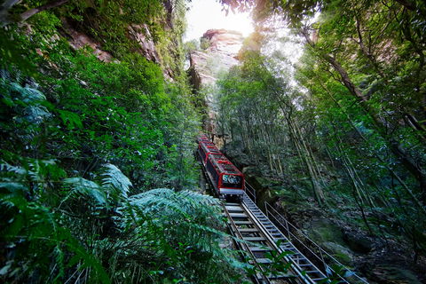 Scenic World Blue Mountains - Tourism Caloundra 0