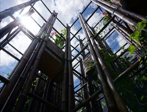Sherman Contemporary Art Foundation - Tourism Caloundra 1