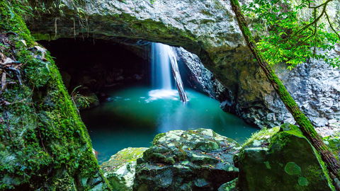 Springbrook - Tourism Caloundra 0