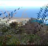 Strzelecki Peaks Great Short Walk - Tourism Caloundra